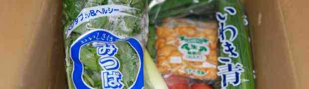 福島さんの野菜たち